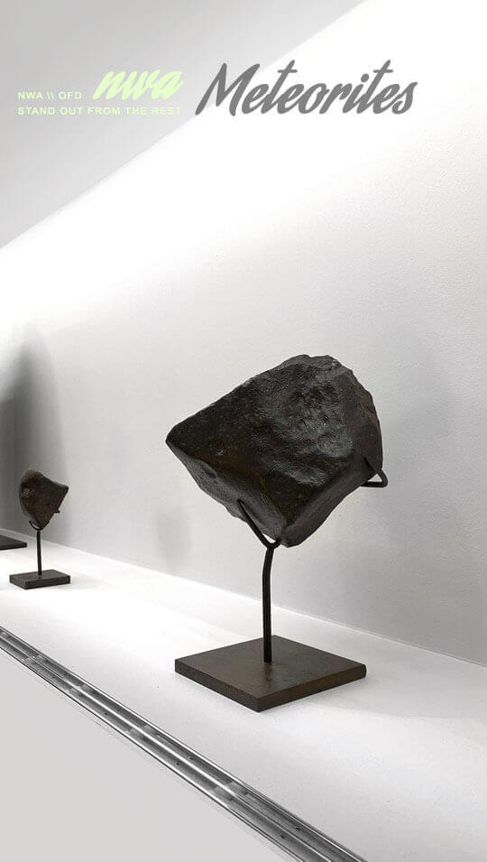 A large 4kg meteorite cradled on a bronze stand inside a large modern sleek cabinet display