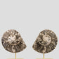 Hoplitoides Wohltmanni Ammonite Pair 235mm on brass stand