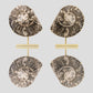 Hoplitoides Wohltmanni Ammonite Pair 235mm on brass stand