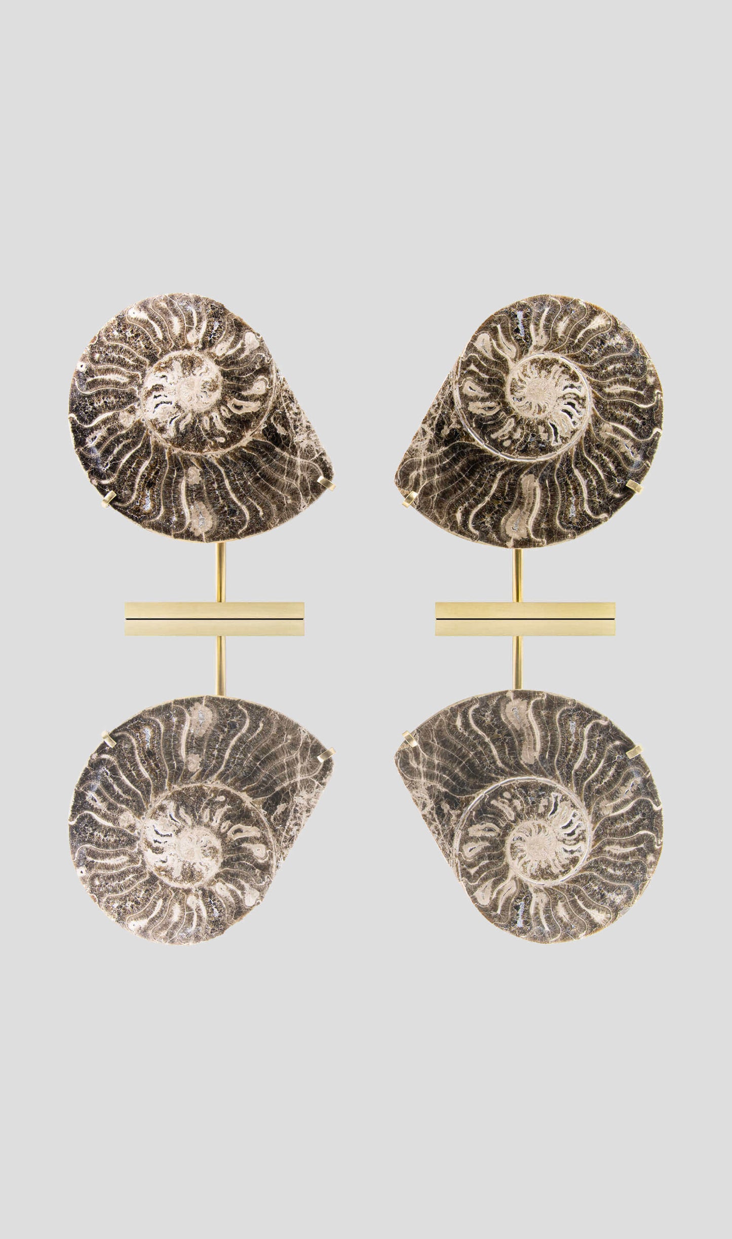 Hoplitoides Wohltmanni Ammonite Pair 235mm on brass stand