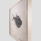 large fossil Diplomystus fish in a wood frame 1