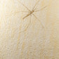 fine fossil water strider insect on a custom cradled brass stand for display