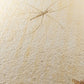 fine fossil water strider insect on a custom cradled brass stand for display