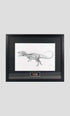  Framed Carcharodontosaurus Dinosaur Tooth frame