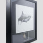 Otoduc obliquus shark tooth for sale in a black frame