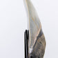 SOLD: Megalodon Carcharodon Shark Tooth 5.43"