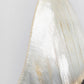 SOLD: Megalodon Carcharodon Shark Tooth 5.43"