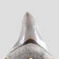 SOLD: Fossil Megalodon Carcharodon Tooth 4.4"