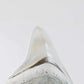 SOLD: Fossil Megalodon Carcharodon Tooth 4.4"