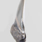 A grade Megalodon tooth displaying wonderful serrations on a bronze stand and free international shipping