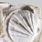 Lattissima Pecten Shell Plate Wall Display 700mm