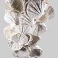 Lattissima Pecten Shell Plate Wall Display 700mm