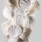 Lattissima Pecten Shell Plate Wall Display 700mm