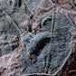 Fossil lily crinoid seabed plate measuring two meters tall plus