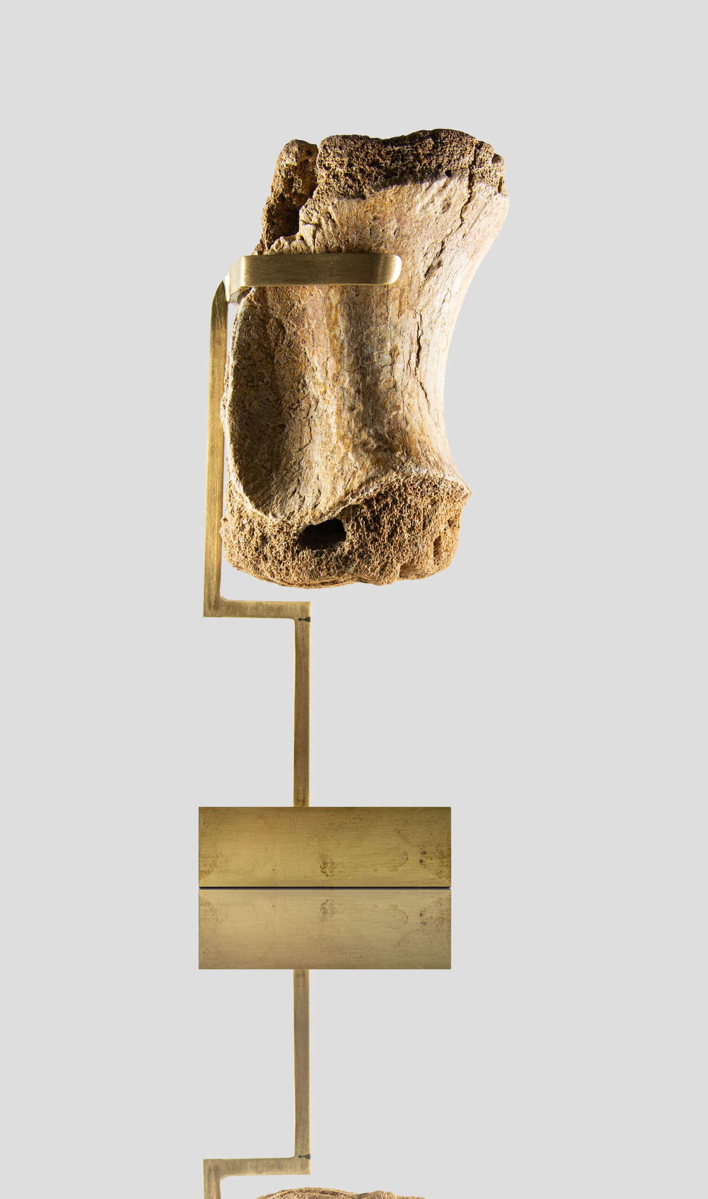 carcharodontosaurus vertebra on a beautiful custom brass stand for a wonderful display