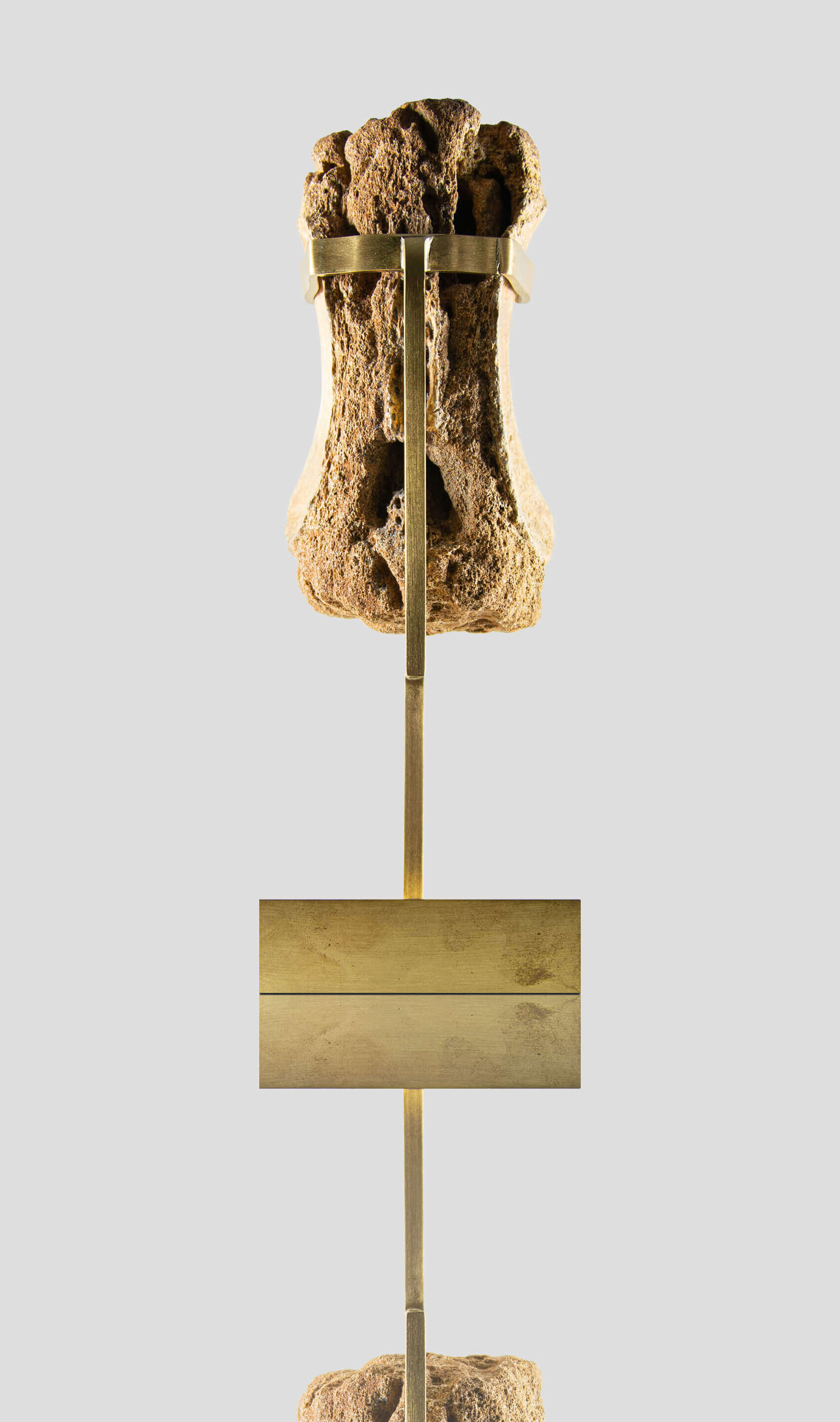 carcharodontosaurus vertebra on a beautiful custom brass stand for a wonderful display