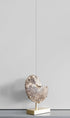 A Museum-quality Hoplitoides wohltmanni ammonite fossil for sale presented on a custom designed AES Brass stand series