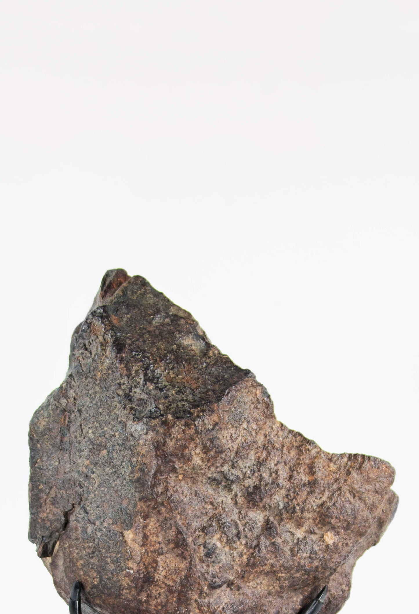 Our fallen star series NWA H5 Iron Meteorite for sale presented on a custom-designed bronze stand weighing 3055 grams