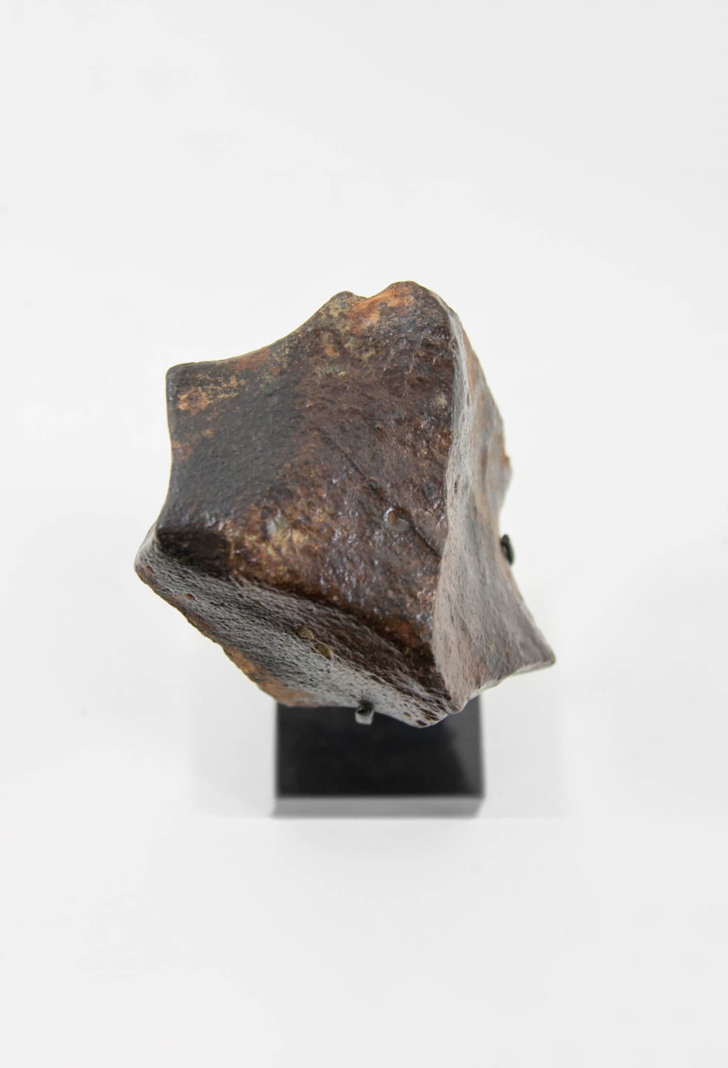 Our fallen star series NWA H5 Iron Meteorite presented on a luxury custom-designed bronze stand weighing 1141 grams