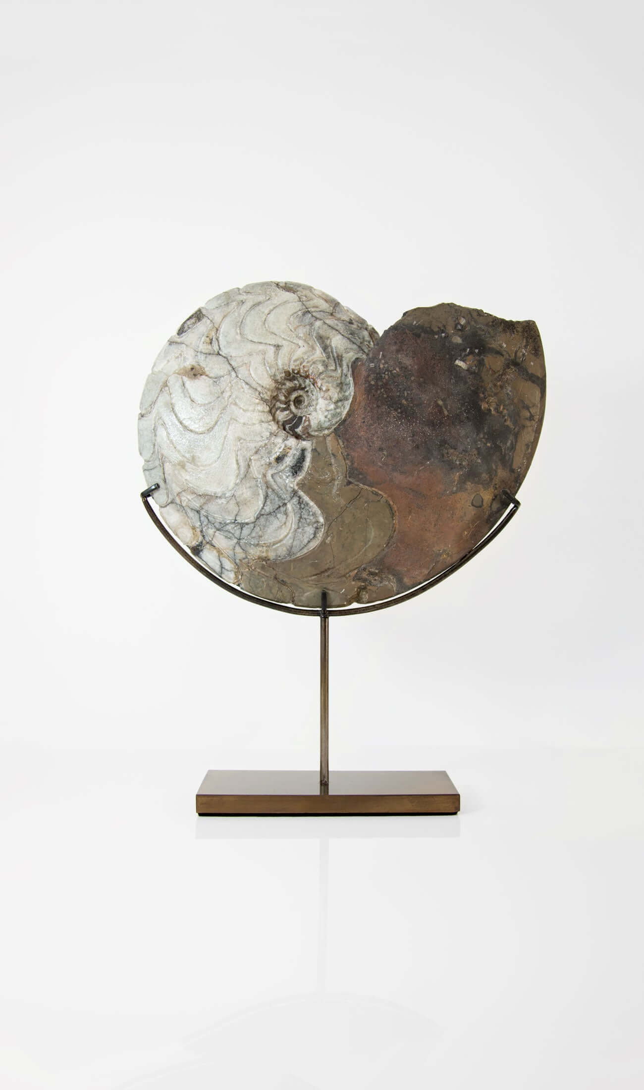 Museum quality fossil Manticoceras goniatite for sale presented on our custom designed AES bronze stand measuring 330mm