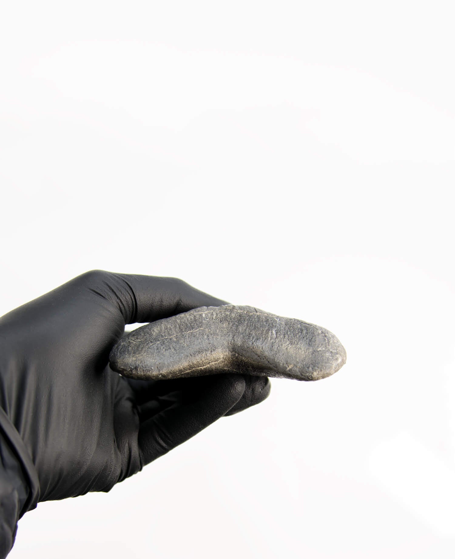 A stunning museum-standard rare fossil Megalodon carcharodon shark tooth for sale on a bronze stand measuring 5.2 inches