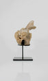 A rare dinosaur Sigilmassasaurus brevicollis vertebra fossil measuring 263mm on THE FOSSIL STORE bronze stand series