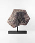 A museum-standard Scyphocrinites elegans crinoid lily fossil for sale measuring 375mm on our custom designed bronze stand