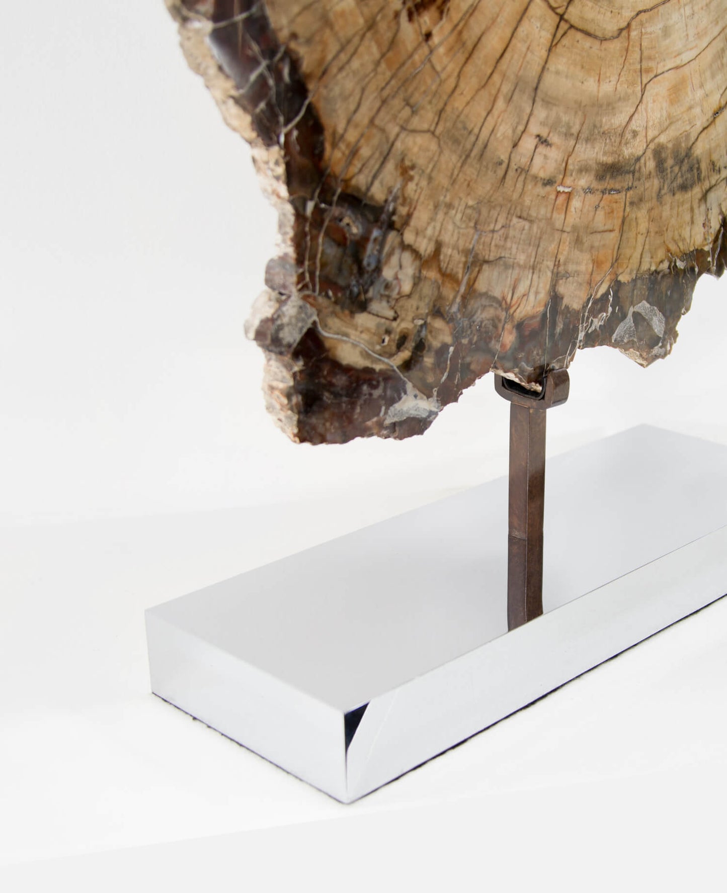 A wonderful example of a double-sided polished petrified wood slice measuring 600mm on a custom-designed bronze stand