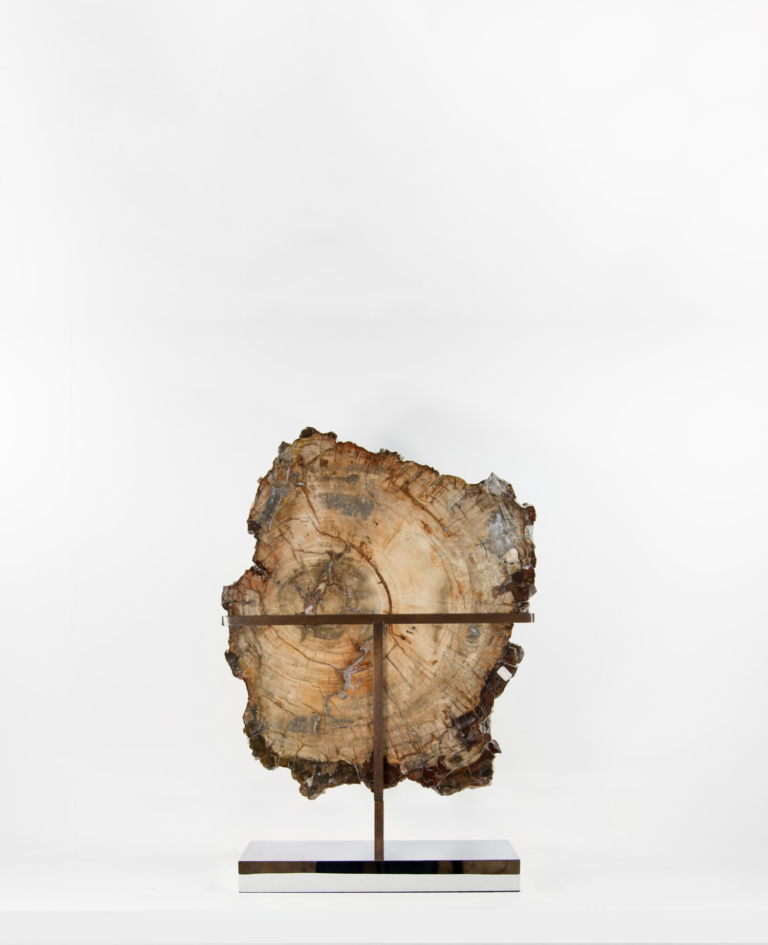 A wonderful example of a double-sided polished petrified wood slice measuring 600mm on a custom-designed bronze stand