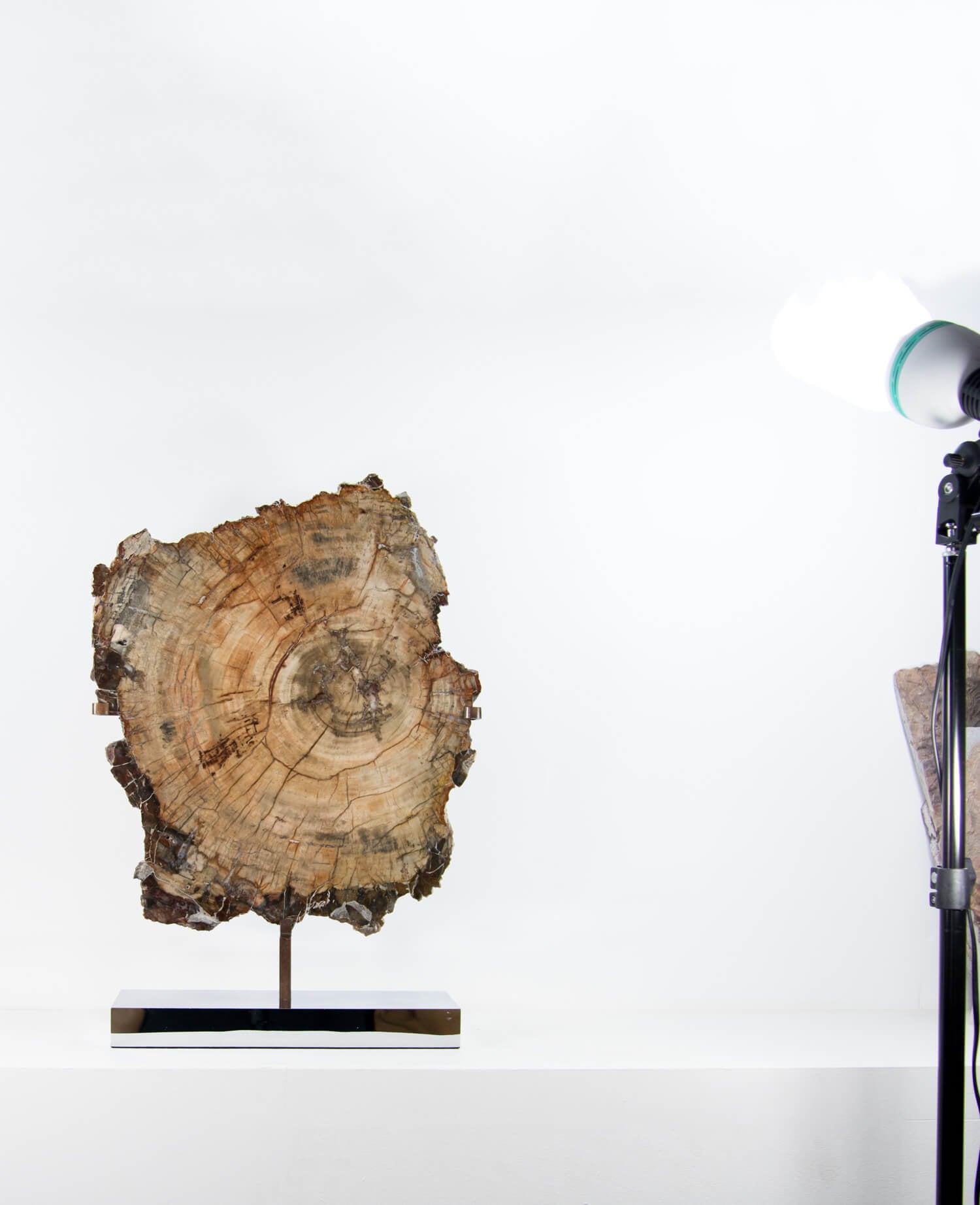 A wonderful example of a double-sided polished petrified wood slice measuring 600mm on a custom-designed bronze stand