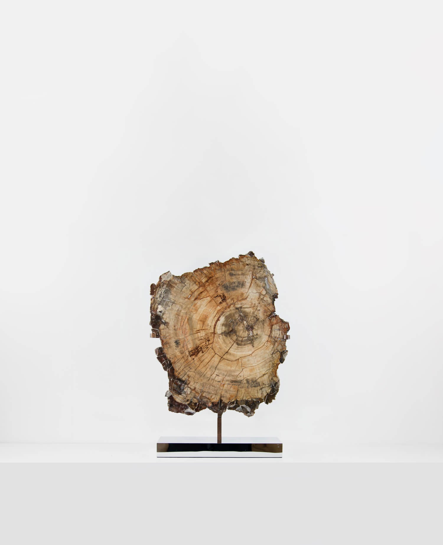 A wonderful example of a double-sided polished petrified wood slice measuring 600mm on a custom-designed bronze stand