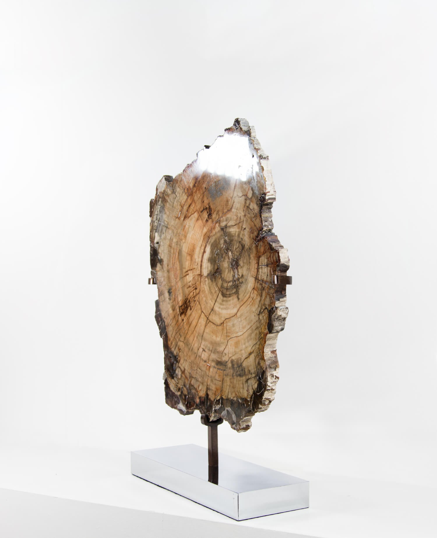 A wonderful example of a double-sided polished petrified wood slice measuring 600mm on a custom-designed bronze stand