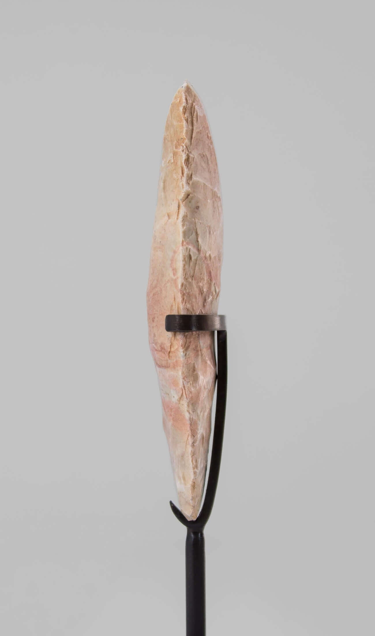 A scientifically important authentic Neolithic hand axe for sale measuring 192mm at THE FOSSIL STORE