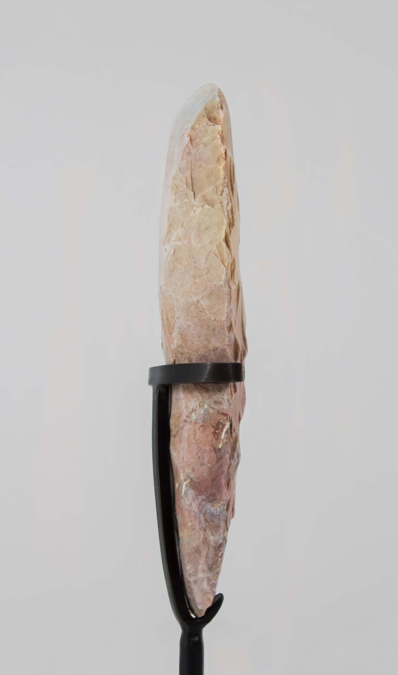 A scientifically important authentic Neolithic hand axe for sale measuring 192mm at THE FOSSIL STORE