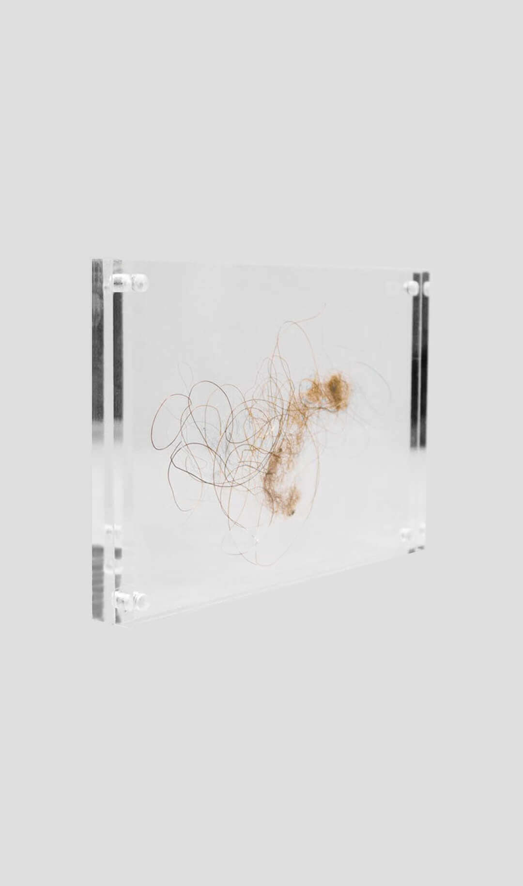 Mammoth Hair In Magnetic Acrylic Frame