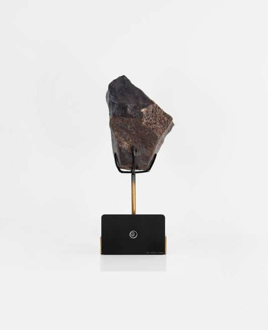 Our fallen star series NWA H5 Iron Meteorite for sale presented on a custom-designed bronze stand weighing 1349 grams