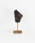 Our fallen star series NWA H5 Iron Meteorite for sale presented on a custom-designed bronze stand weighing 1349 grams