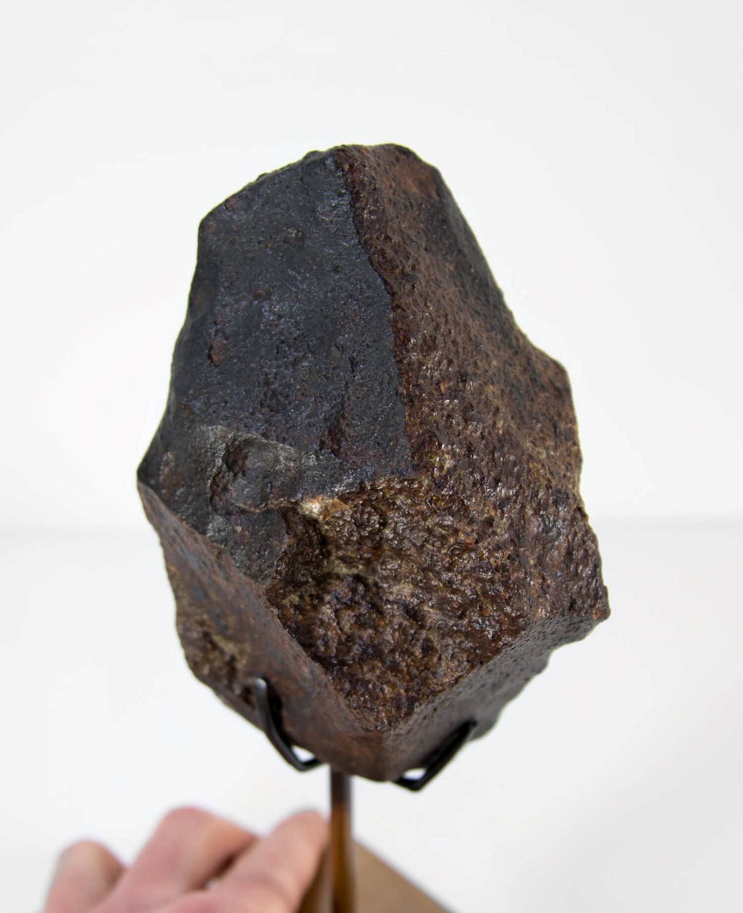 Our fallen star series NWA H5 Iron Meteorite for sale presented on a custom-designed bronze stand weighing 1349 grams