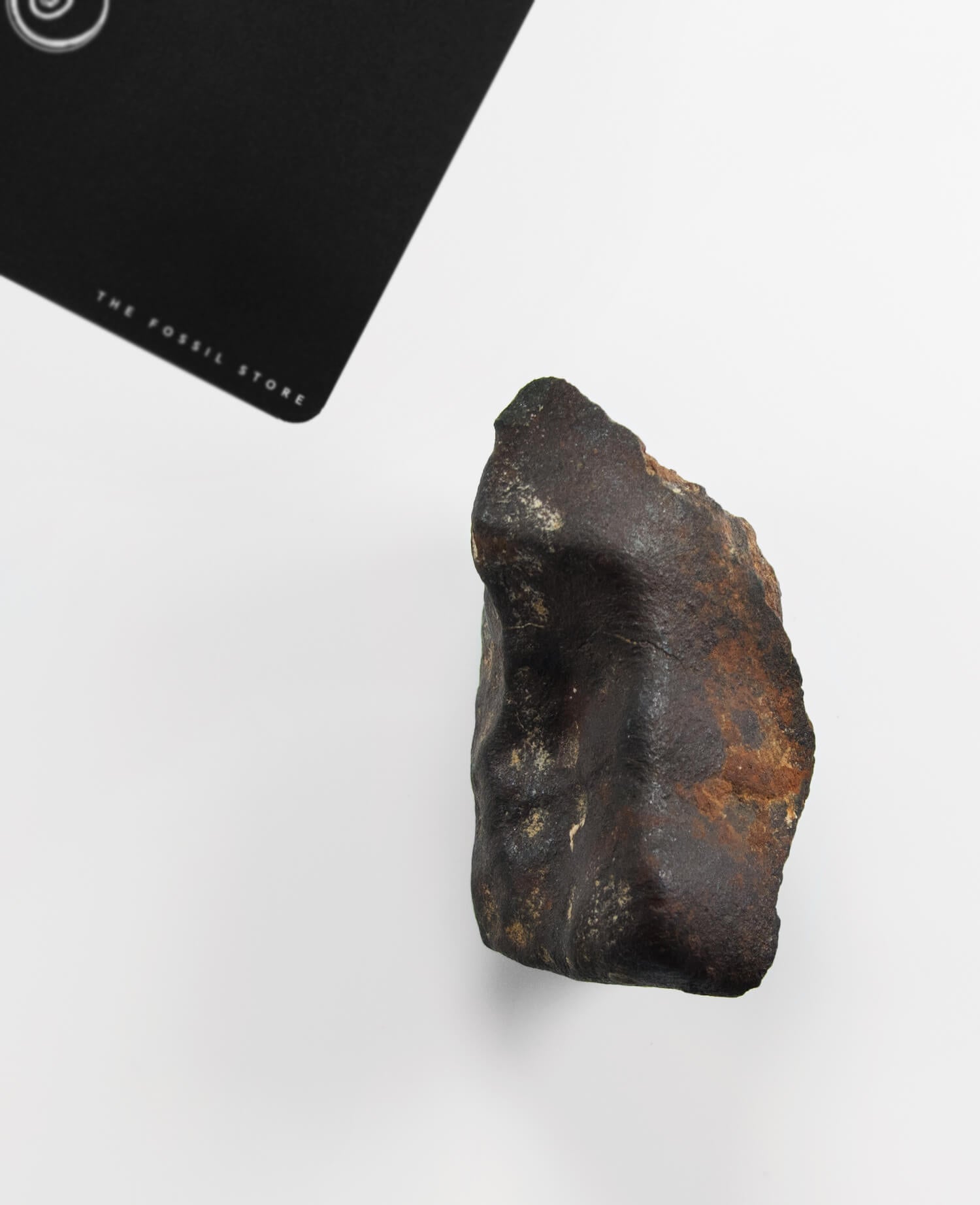 Our fallen star series NWA H5 Iron Meteorite for sale presented on a custom-designed bronze stand weighing 126 grams