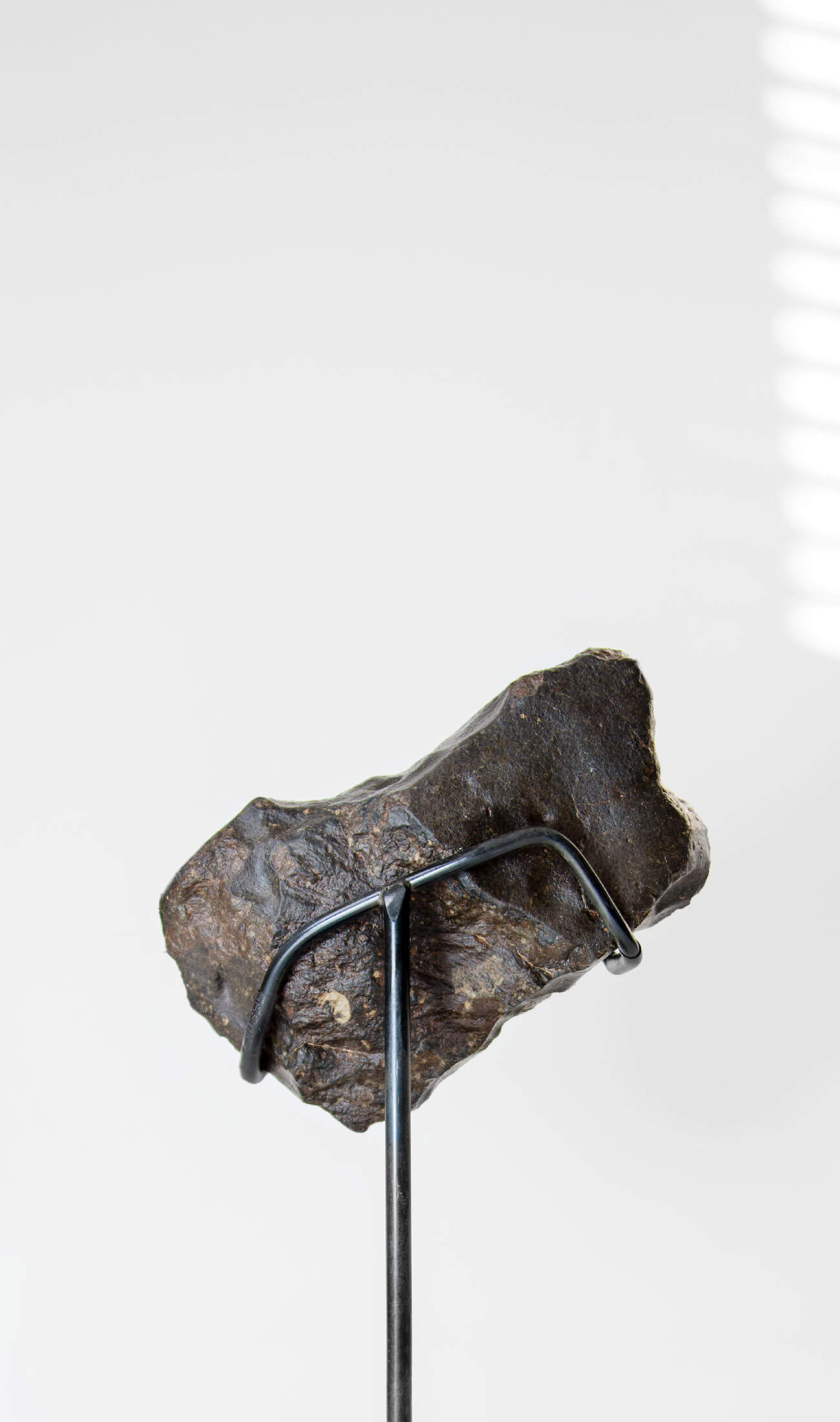 Our fallen star series NWA H5 Iron Meteorite presented on a luxury custom-designed bronze stand weighing 955 grams