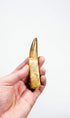 fossil dinosaur spinosaurus tooth for sale at the uk fossil store 114