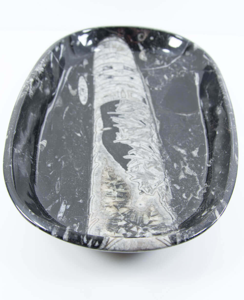 A stunning hand-crafted Devonian marble fossil and quartz mineral bowl for sale for luxury dining measuring 285mm