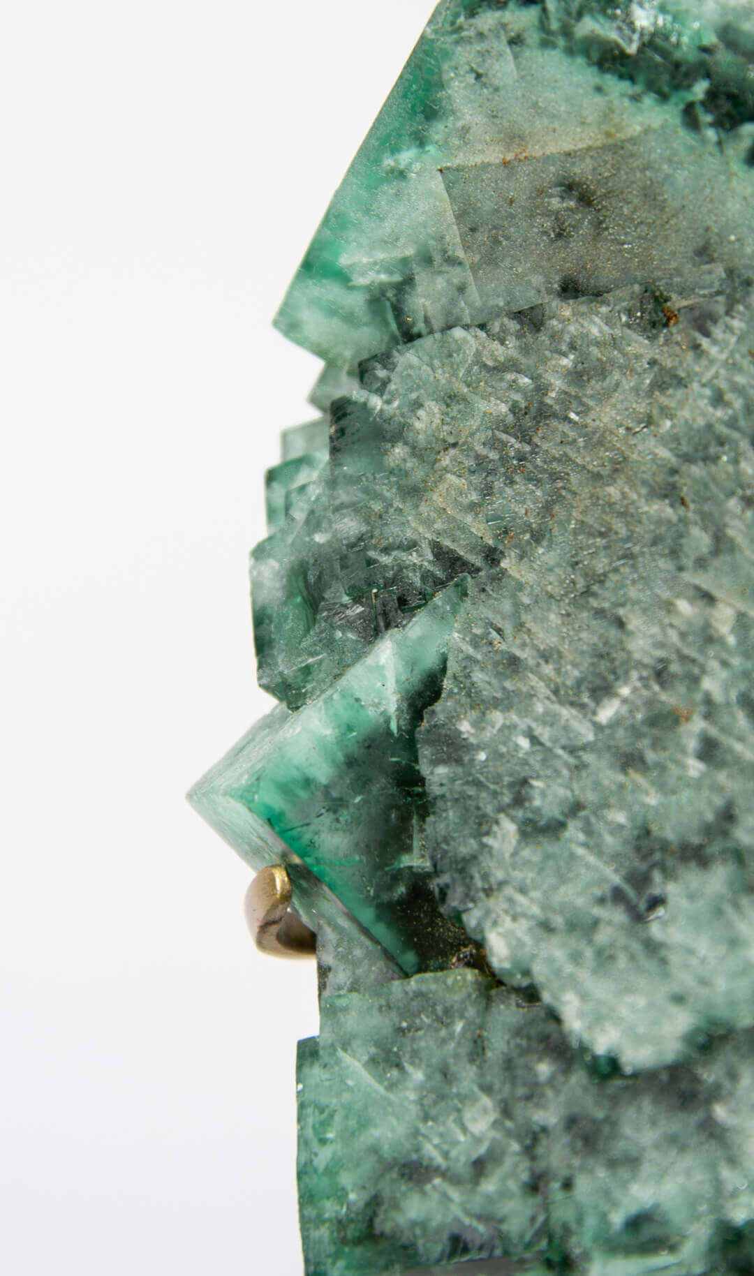 stunning green British fluorite for sale on the fossil store custom brass stand 07