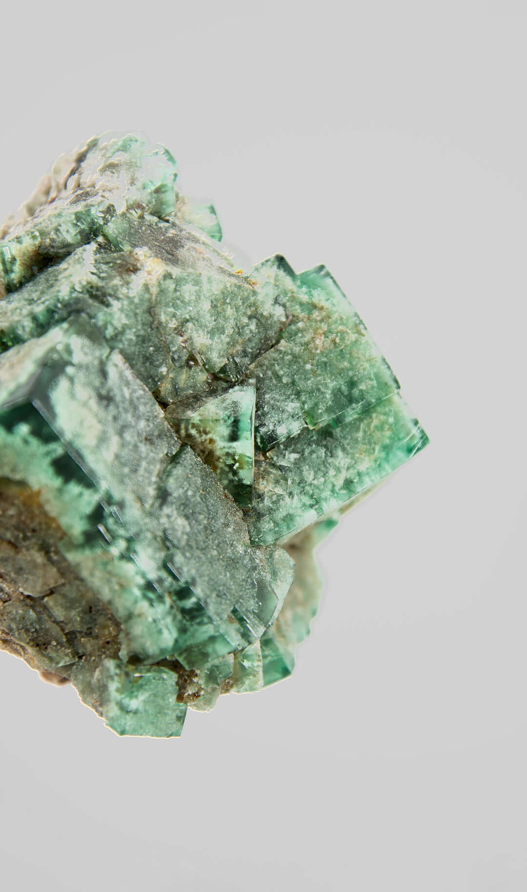 stunning green British fluorite for sale on the fossil store custom brass stand 12