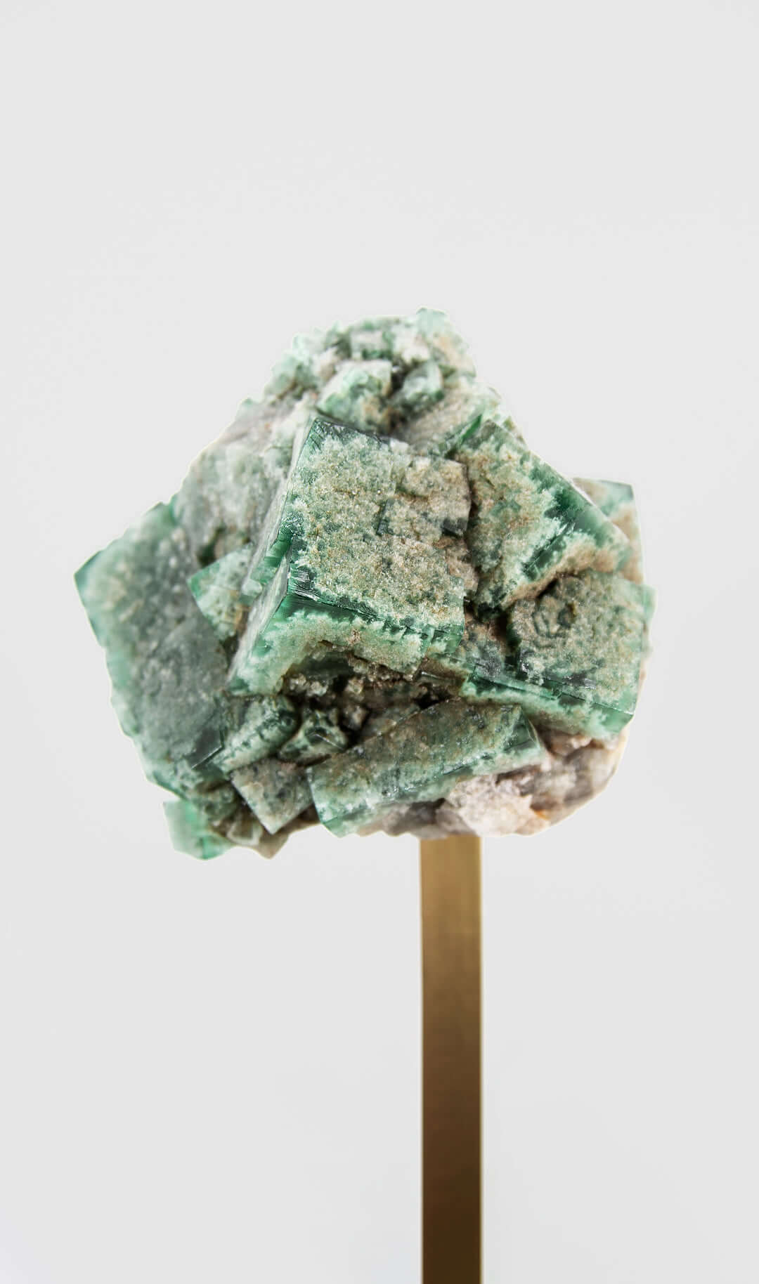 stunning green British fluorite for sale on the fossil store custom brass stand 16