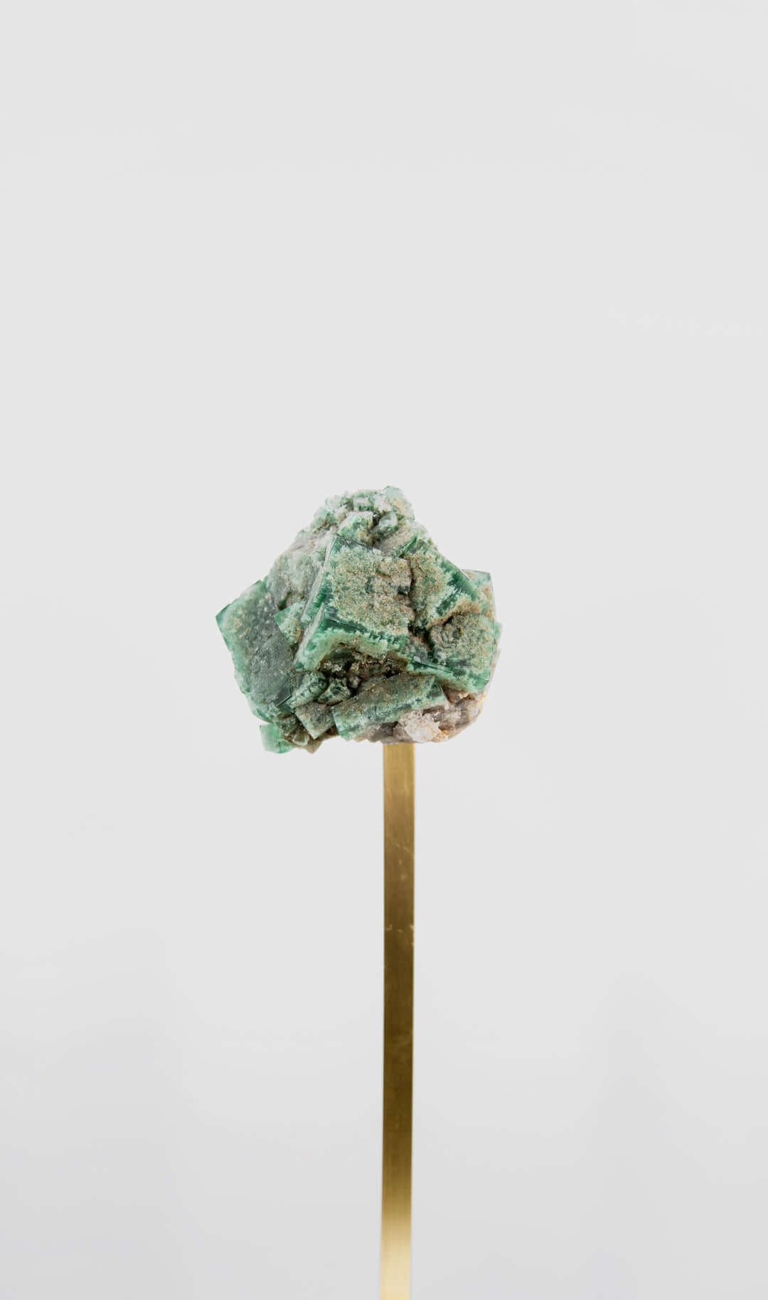 stunning green British fluorite for sale on the fossil store custom brass stand 17