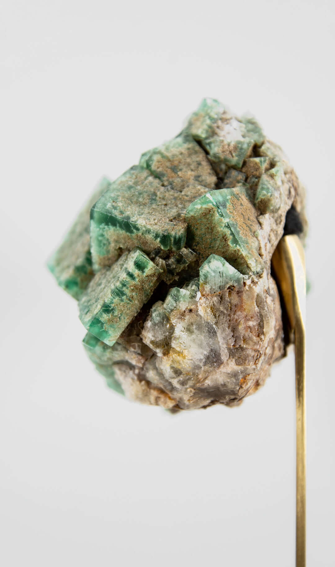 stunning green British fluorite for sale on the fossil store custom brass stand 18